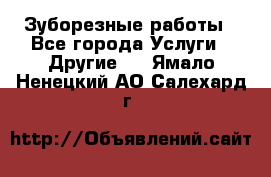 Зуборезные работы - Все города Услуги » Другие   . Ямало-Ненецкий АО,Салехард г.